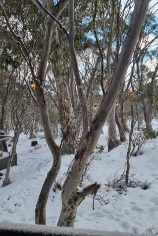 ID66f09801 0000 0500 0000 0000155c1def