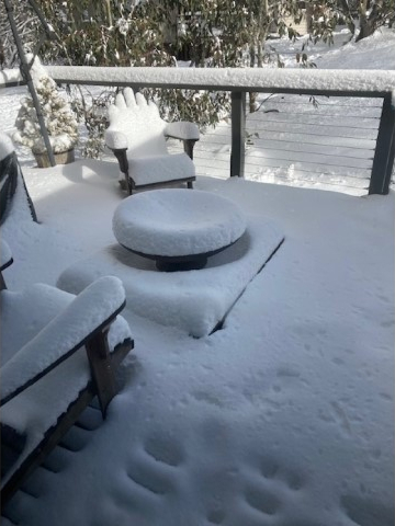 ID71515501 0000 0500 0000 00000f9085bd