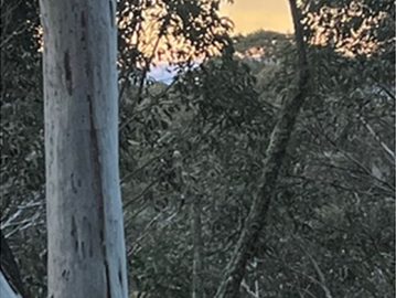 ID71515501 0000 0500 0000 00000fd3a993