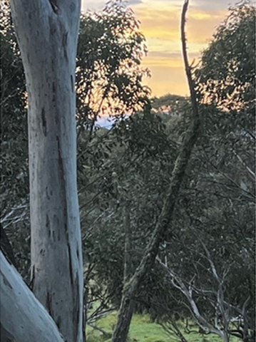 ID71515501 0000 0500 0000 00000fd3a993