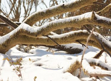 ID74764f00 0000 0500 0000 00000d48107a