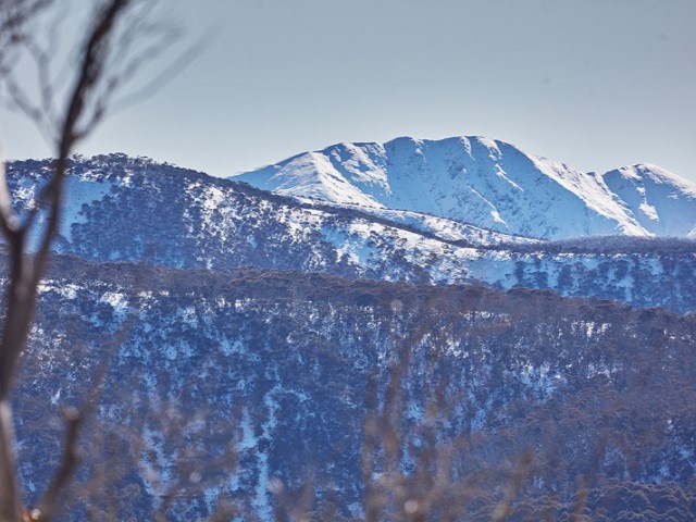 ID74764f00 0000 0500 0000 00000d48107b