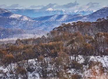 ID74764f00 0000 0500 0000 00000d48107c