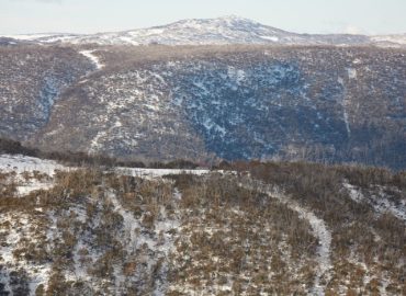 ID74764f00 0000 0500 0000 00000d48107d