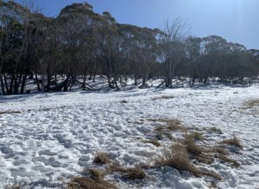 IDaab56f01 0000 0500 0000 000011bbd098