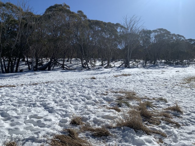 IDaab56f01 0000 0500 0000 000011bbd098