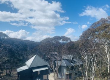 ID0afa4b01 0000 0500 0000 00000edda07f