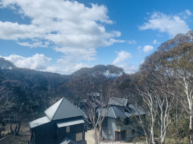 ID0afa4b01 0000 0500 0000 00000edda07f