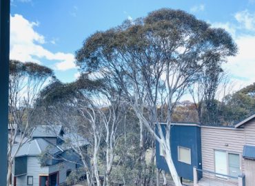 ID0afa4b01 0000 0500 0000 00000edda086