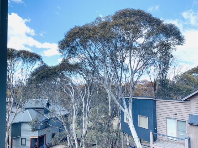 ID0afa4b01 0000 0500 0000 00000edda086