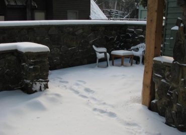 ID272c8d00 0000 0500 0000 000004bfffd6