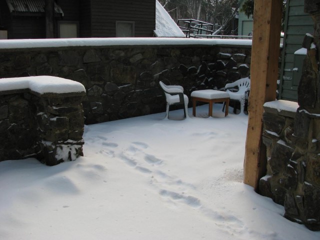 ID272c8d00 0000 0500 0000 000004bfffd6