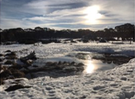 IDa5d84900 0000 0500 0000 00000e24957d