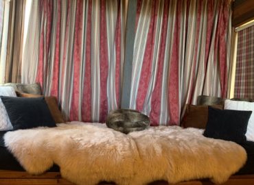 IDb7ec7701 0000 0500 0000 000012886def