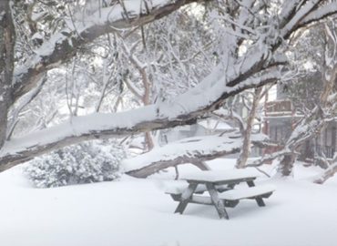 IDb89a4a01 0000 0500 0000 00000ec73b9a